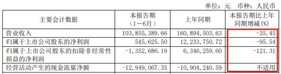 大理藥業上半年營收1.04億元 同比減少35.45%