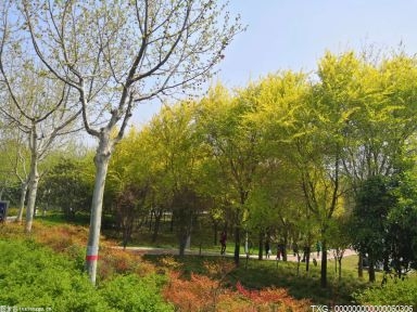 赤城县持续擦亮绿色生态名片 年优良达标天数347天