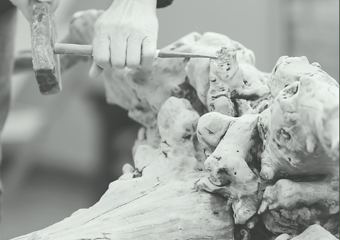 痴迷虫蚀艺术 陈永顺在枯木病株中发掘自然之美